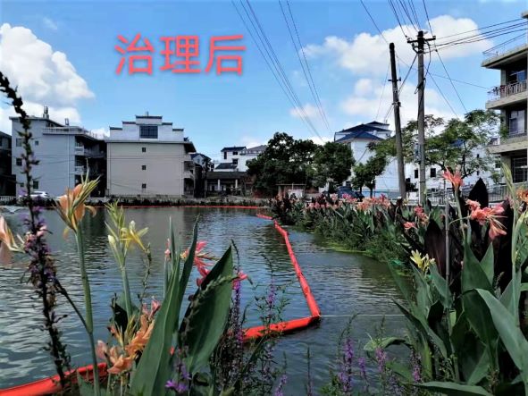 上饶高铁经济试验区灵溪镇日升村塘尾水塘生态修复项目